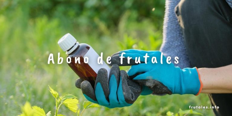 Abono para árboles frutales