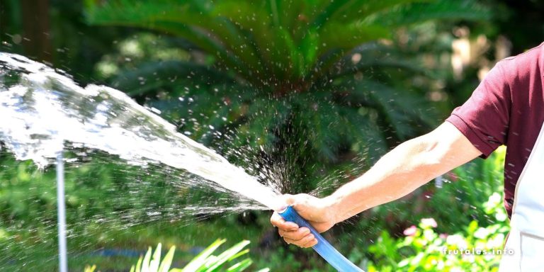 Foto regando a pleno Sol con una manguera de color azul.