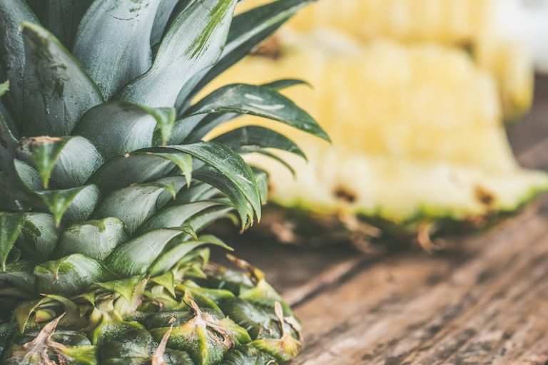 ¿Cómo cultivar una piña en una maceta?