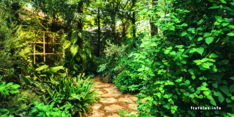 Foto de un jardín con un camino de piedra rodeado de frondosa vegetación y árboles a la sombra, con luz natural filtrándose entre los árboles.