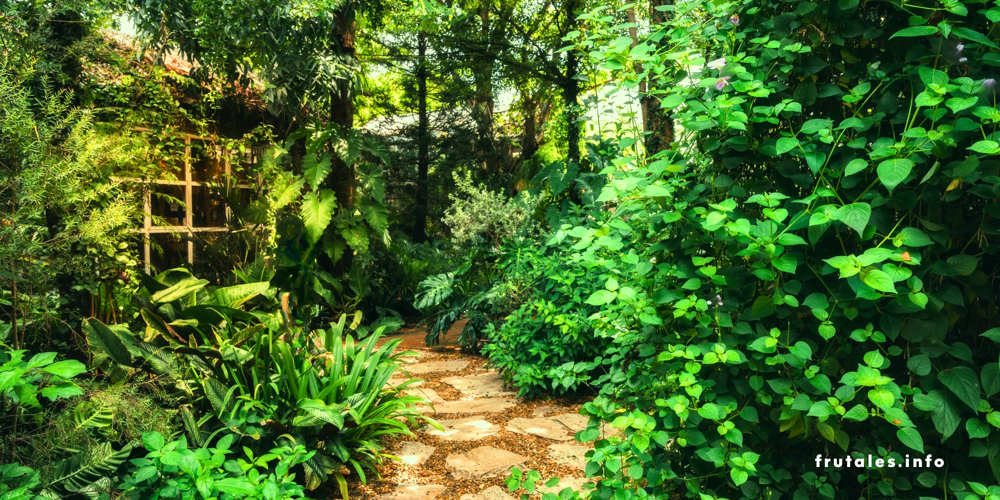 Foto de un jardín con un camino de piedra rodeado de frondosa vegetación y árboles a la sombra, con luz natural filtrándose entre los árboles.