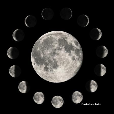 Imagen del ciclo lunar completo.