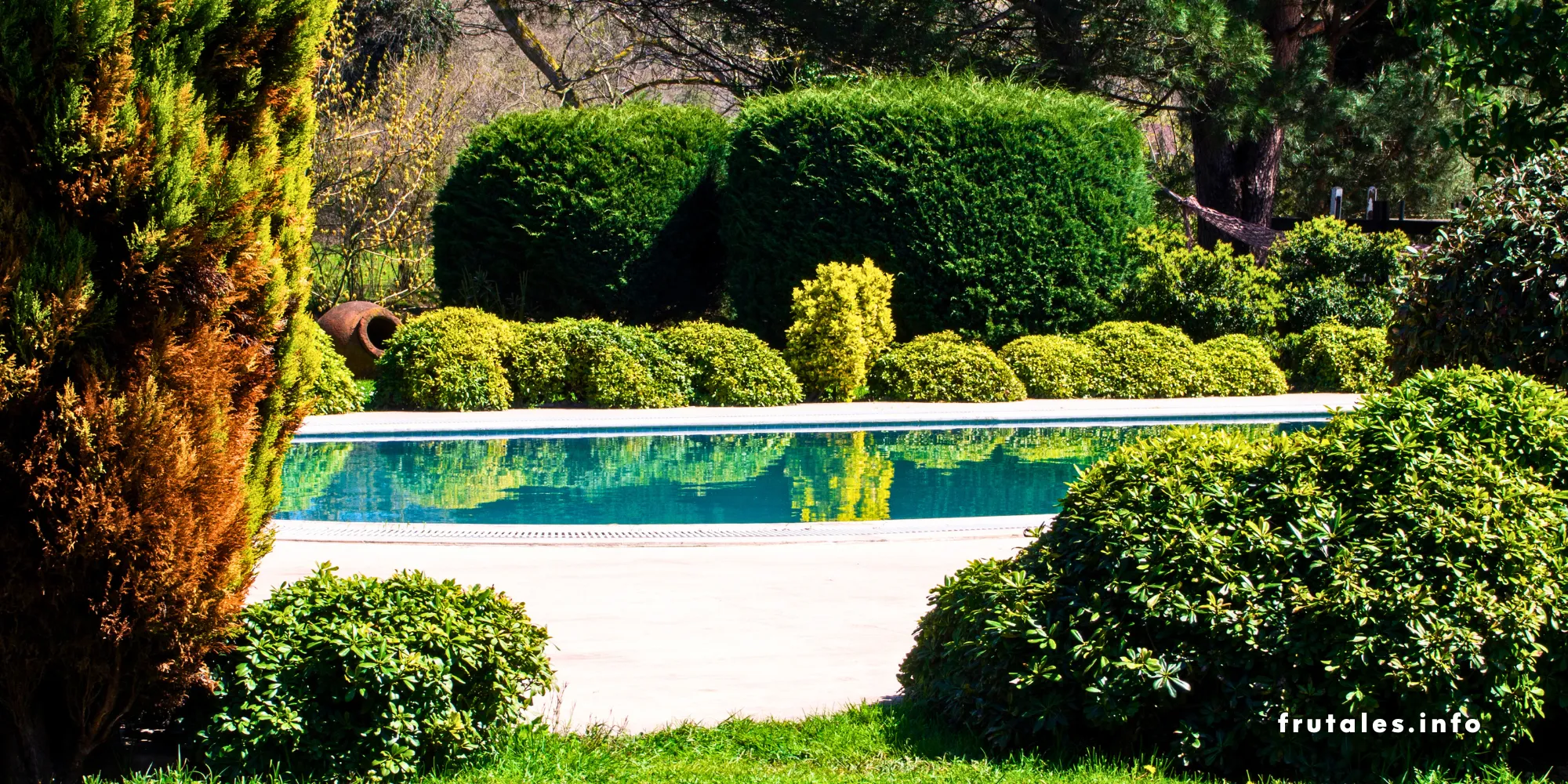 Piscina rodeada de arbustos y árboles bien cuidados en un entorno natural.