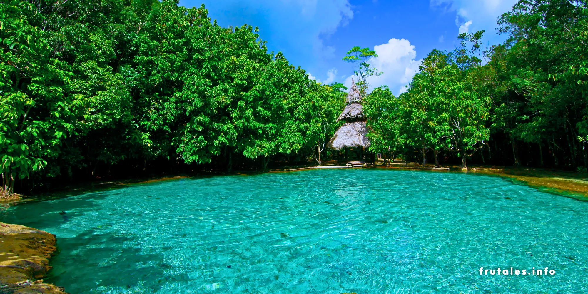 Piscina natural en un entorno tropical con árboles frondosos y una cabaña con techo de paja.