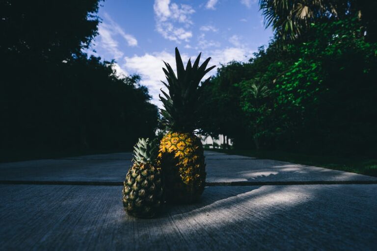 Foto de árboles frutales de sombra y una gran piña en medio.