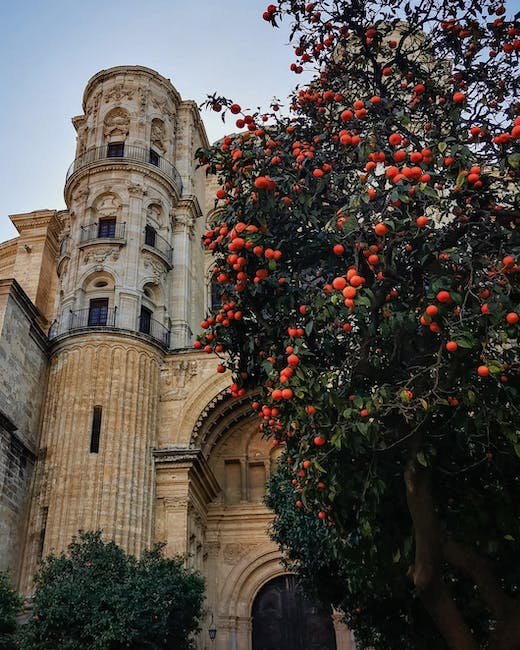¿Cuál es la fruta más cara de España?