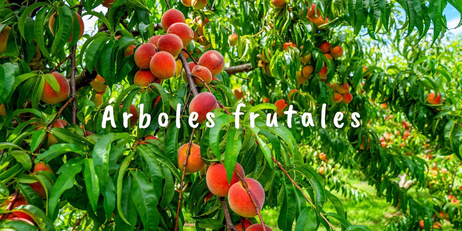 Foto de un árbol frutal al fondo con el texto sobre impreso en letras de color blanco: árboles frutales.