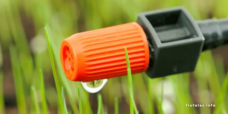 Foto de la punta de una manguera goteando en referencia a los arboles frutales que necesitan mucha agua: ¿Qué frutales necesitan más agua y cómo cuidarlos?